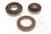 VOLVO 2731602 Wheel Bearing Kit